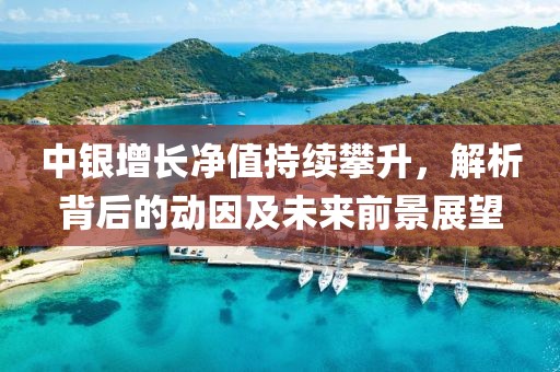 中银增长净值持续攀升,解析背后的动因及未来前景展望