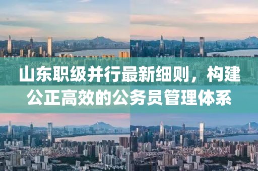 山东职级并行最新细则,构建公正高效的公务员管理体系