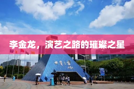 李金龙，演艺之路的璀璨之星