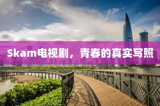 Skam电视剧,青春的真实写照