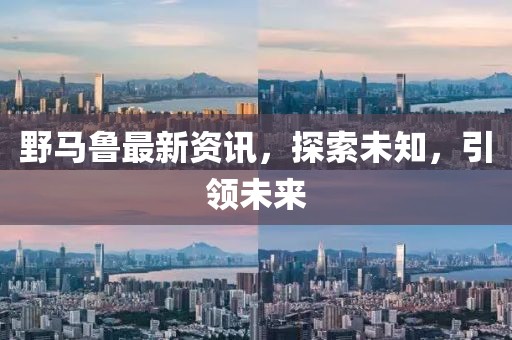 野马鲁最新资讯，探索未知，引领未来