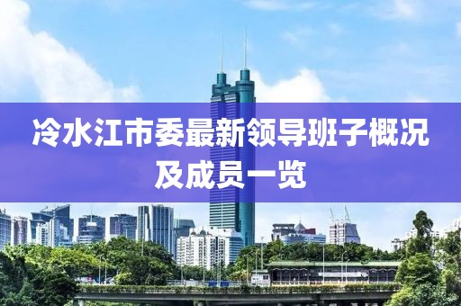 冷水江市委最新领导班子概况及成员一览