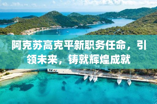 阿克苏高克平新职务任命,引领未来,铸就辉煌成就