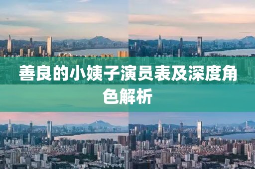 善良的小姨子演员表及深度角色解析