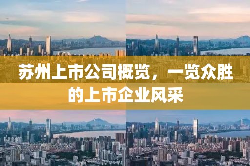 苏州上市公司概览,一览众胜的上市企业风采