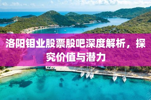 洛阳钼业股票股吧深度解析,探究价值与潜力