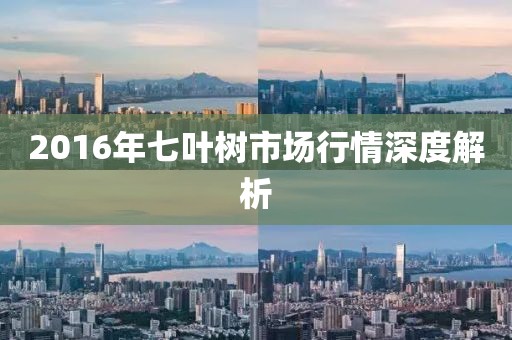 2016年七叶树市场行情深度解析
