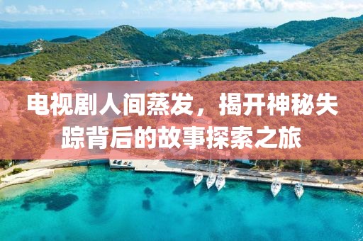 电视剧人间蒸发,揭开神秘失踪背后的故事探索之旅