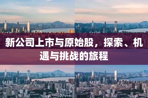 新公司上市与原始股，探索、机遇与挑战的旅程