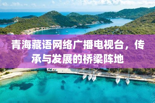 青海藏语网络广播电视台，传承与发展的桥梁阵地
