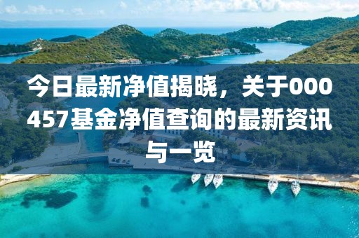 今日最新净值揭晓，关于000457基金净值查询的最新资讯与一览