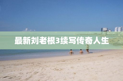 最新刘老根3续写传奇人生