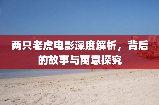 两只老虎电影深度解析，背后的故事与寓意探究