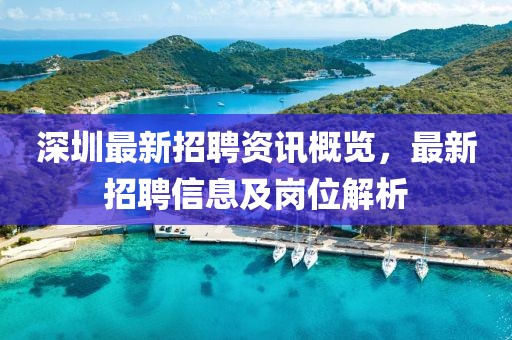 深圳最新招聘资讯概览，最新招聘信息及岗位解析
