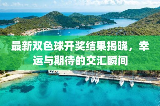 最新双色球开奖结果揭晓，幸运与期待的交汇瞬间