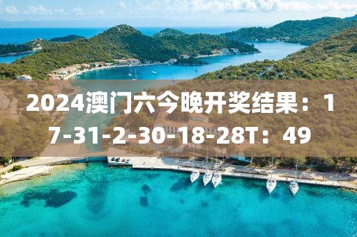 2024澳门六今晚开奖结果：17-31-2-30-18-28T：49
