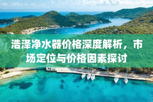 浩泽净水器价格深度解析，市场定位与价格因素探讨