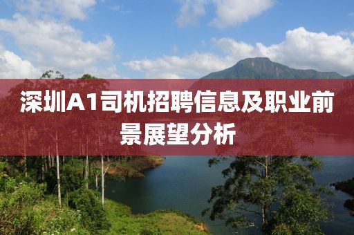 深圳A1司机招聘信息及职业前景展望分析
