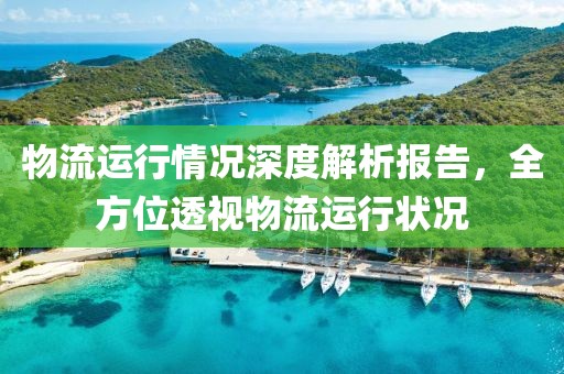 物流运行情况深度解析报告，全方位透视物流运行状况