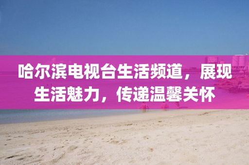 哈尔滨电视台生活频道，展现生活魅力，传递温馨关怀