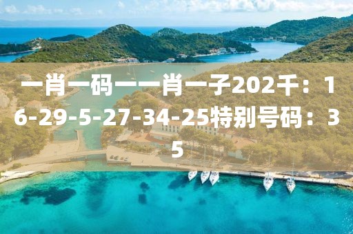 一肖一码一一肖一子202千：16-29-5-27-34-25特别号码：35
