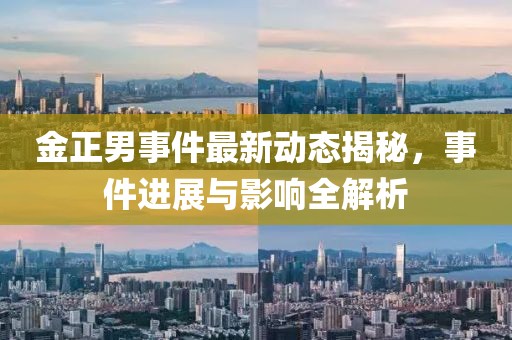 金正男事件最新动态揭秘，事件进展与影响全解析