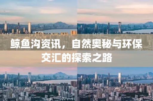 鲸鱼沟资讯，自然奥秘与环保交汇的探索之路