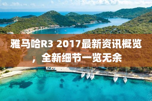 雅马哈R3 2017最新资讯概览，全新细节一览无余