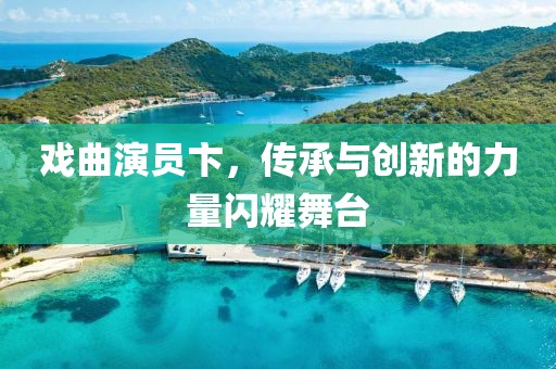 戏曲演员卞，传承与创新的力量闪耀舞台
