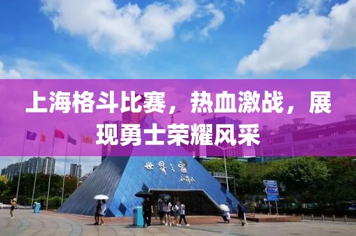 上海格斗比赛，热血激战，展现勇士荣耀风采