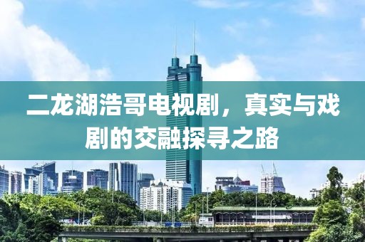 二龙湖浩哥电视剧，真实与戏剧的交融探寻之路