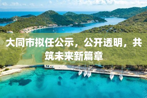大同市拟任公示，公开透明，共筑未来新篇章
