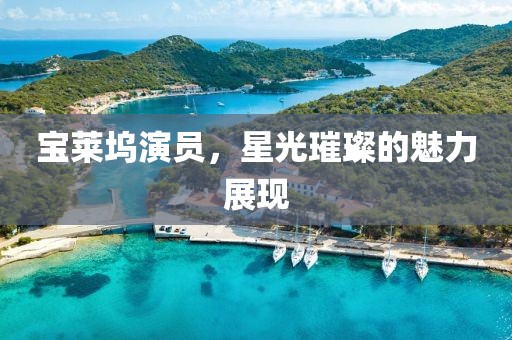 宝莱坞演员，星光璀璨的魅力展现