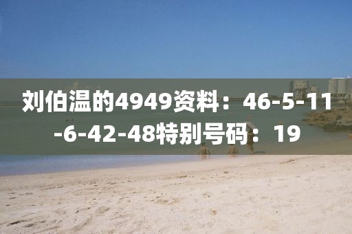 刘伯温的4949资料：46-5-11-6-42-48特别号码：19
