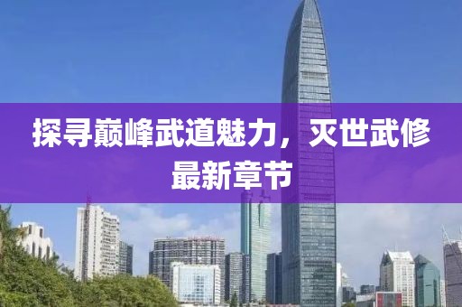 探寻巅峰武道魅力，灭世武修最新章节