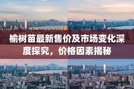 榆树苗最新售价及市场变化深度探究，价格因素揭秘
