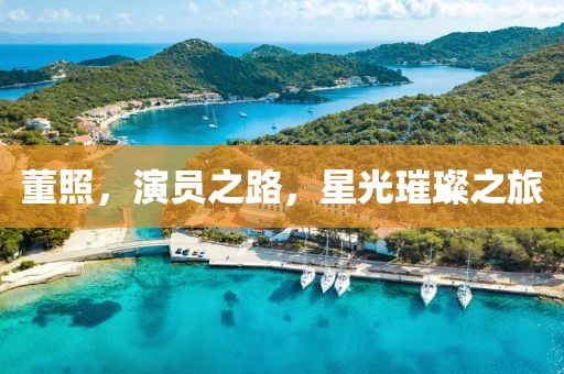 董照，演员之路，星光璀璨之旅