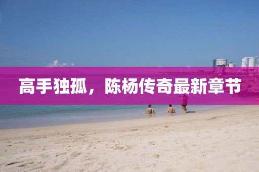 高手独孤，陈杨传奇最新章节