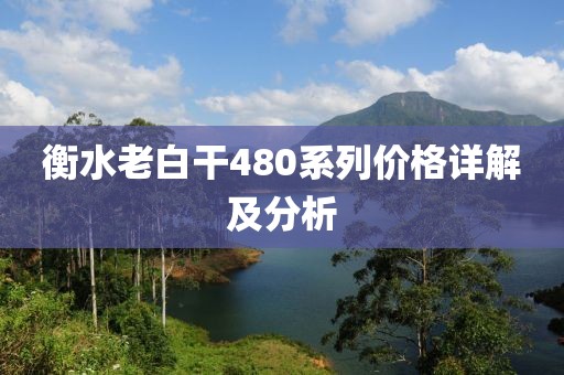 衡水老白干480系列价格详解及分析