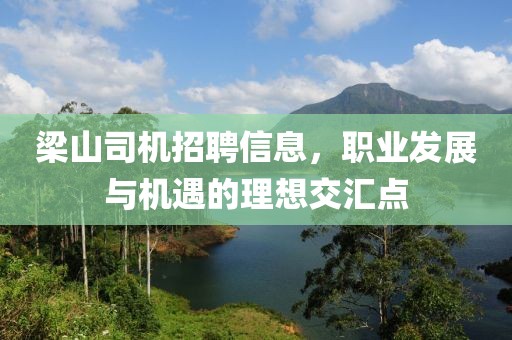 梁山司机招聘信息，职业发展与机遇的理想交汇点