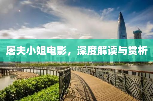 屠夫小姐电影，深度解读与赏析