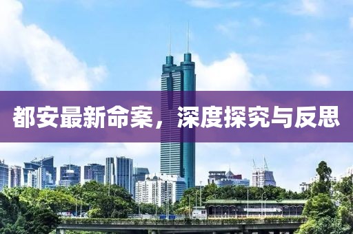 都安最新命案，深度探究与反思