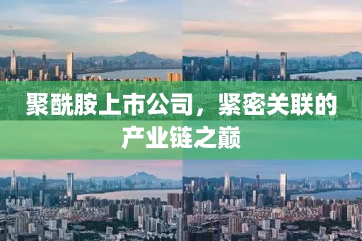 聚酰胺上市公司，紧密关联的产业链之巅