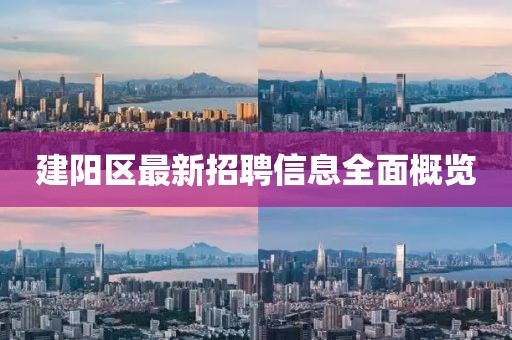 建阳区最新招聘信息全面概览