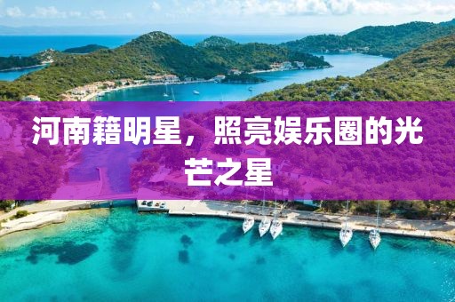 河南籍明星，照亮娱乐圈的光芒之星