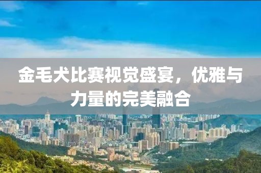 金毛犬比赛视觉盛宴，优雅与力量的完美融合