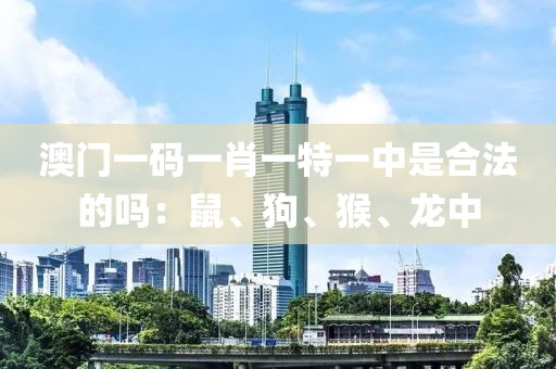 澳门一码一肖一特一中是合法的吗：鼠、狗、猴、龙中
