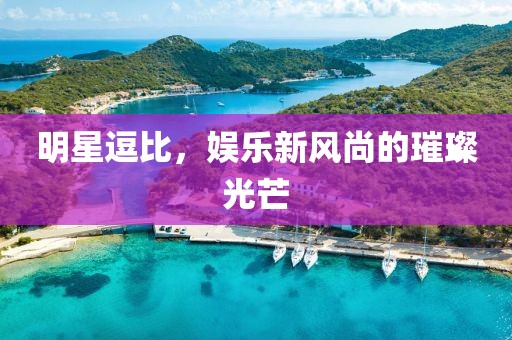 明星逗比，娱乐新风尚的璀璨光芒
