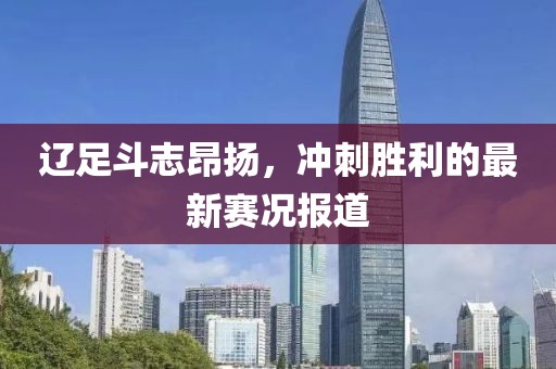 辽足斗志昂扬，冲刺胜利的最新赛况报道