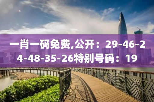 一肖一码免费,公开：29-46-24-48-35-26特别号码：19